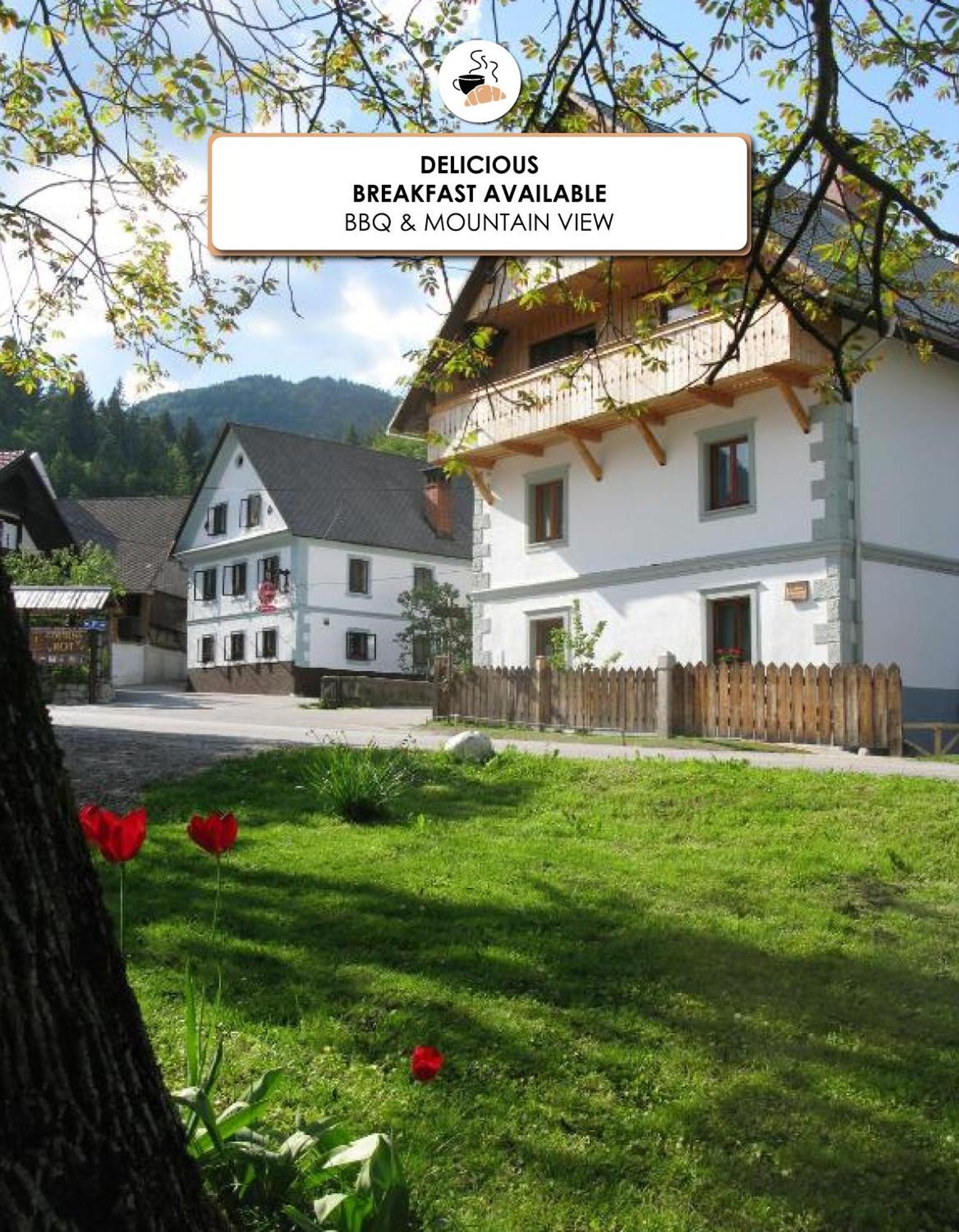 Ana Antloga Apartments Bled Exterior photo