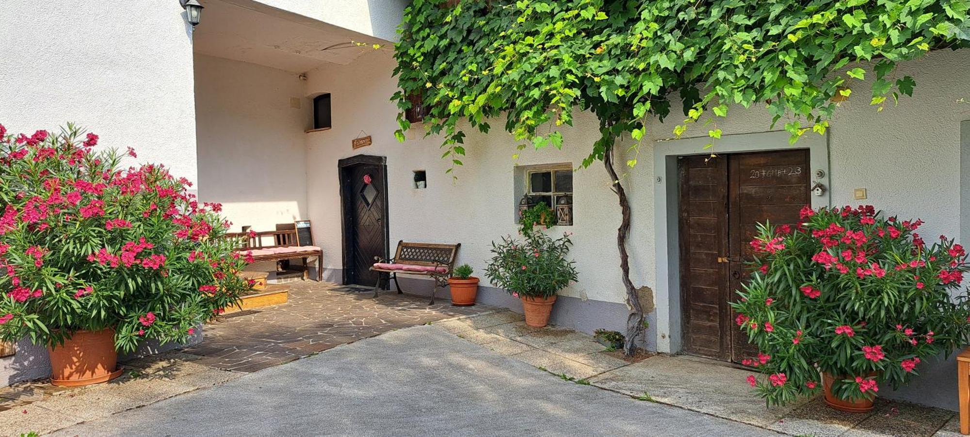 Ana Antloga Apartments Bled Exterior photo