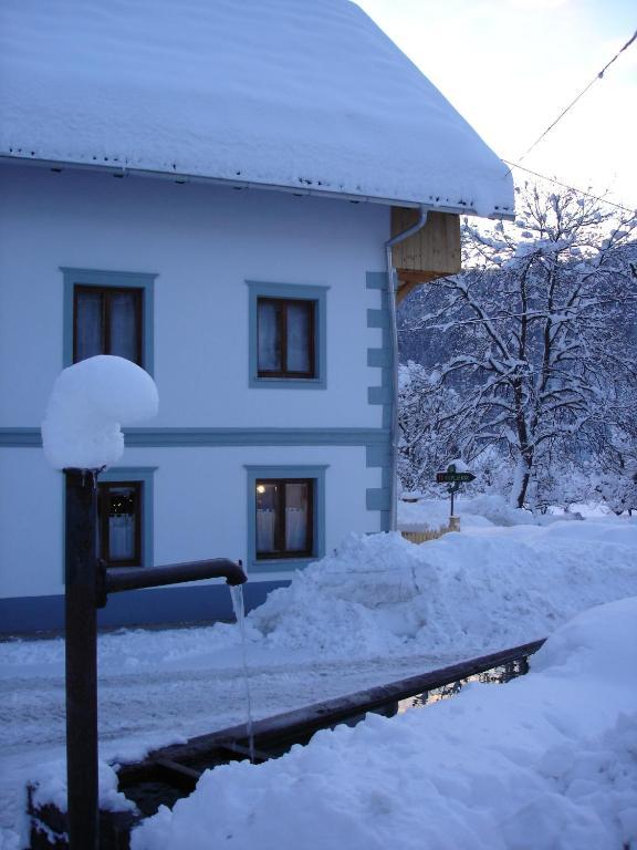 Ana Antloga Apartments Bled Exterior photo